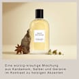 Eau de Parfum Refined Woods DAVID BECKHAM