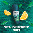 Antitranspirant Deo Roll-On Nonstop Protection Iced Lemon & Sage Rexona men