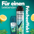 Antitranspirant Deo Roll-On Nonstop Protection Iced Lemon & Sage Rexona men