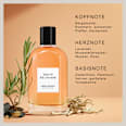 Eau de Parfum Amber Breeze DAVID BECKHAM