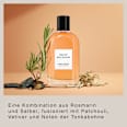 Eau de Parfum Amber Breeze DAVID BECKHAM