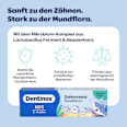 Zahnpasta Kids Mundflora+, 2-6 Jahre Dentinox