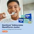 Zahnpasta Junior Mundflora+, 6-12 Jahre Dentinox