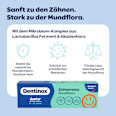 Zahnpasta Junior Mundflora+, 6-12 Jahre Dentinox