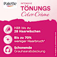 Haartönung Color-Crème 3-0 Schwarzbraun Palette Intensive Color Creme