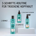 Shampoo Scalp Balance   Schwarzkopf GLISS