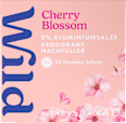Deostick Cherry Blossom Nachfüllpack Wild
