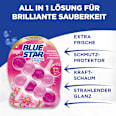 WC-STeine Brilliant Gel All In 1 Frühlingsfrische BLUE STAR