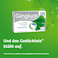 Gingium 120 mg Filmtabletten Gingium