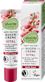 Krema za nego kože okrog oči Vital alverde NATURKOSMETIK