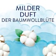 Wäscheparfüm Light, Frische Baumwollblüte Lenor