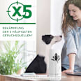 Duftspray Freshmatic Max Starter-Set Sommervergnügen AIR WICK