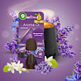 Aroma Öl Nachfüller Bergamotte und Lavendel AIR WICK