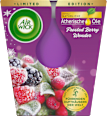 Duftkerze im Glas Frosted Berry Wonder AIR WICK