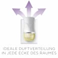 Duftöl Nachfüller Bergamotte & Lavendel AIR WICK