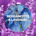 Duftöl Nachfüller Bergamotte & Lavendel AIR WICK