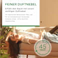 Lufterfrischer Aroma-Öl Diffuser Starter-Set Bergamotte & Lavendel AIR WICK