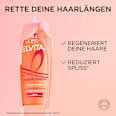 Shampoo Dream Length L'ORÉAL PARiS ELVITAL