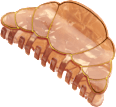 Haarklammer Croissant ebelin