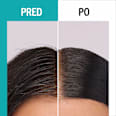 Hĺbkovo-čistiaci šampón na vlasy scalp balance DEEP CLEANSING Schwarzkopf GLISS