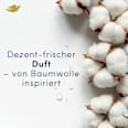Deospray fresh original Dove