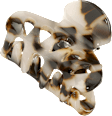 Haarklammer midi T-Shell Optik ebelin