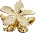 Haarklammer Blume, weiß/Gold-Optik ebelin