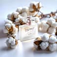 Just COTTON Eau de Parfum ESPRIT