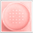 Fixáló púder, Fit Me Powder - Nr. 02 Pink MAYBELLINE NEW YORK