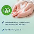 Multilind Heilsalbe mit Nystatin 100 000 I.E./200 mg pro 1 g Paste zur Anwendung auf der Haut Multilind