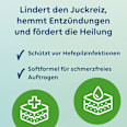 Multilind Heilsalbe mit Nystatin 100 000 I.E./200 mg pro 1 g Paste zur Anwendung auf der Haut Multilind