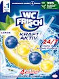 WC-Stein Kraft Aktiv Lemon WC-Frisch
