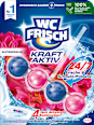WC-Stein Kraft Aktiv Blütenfrische WC-Frisch