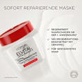 Haarmaske Total Repair 5 L'ORÉAL PARiS ELVITAL