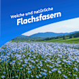 Feuchtes Toilettenpapier sanft & pur  Tempo