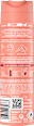 Deo Bodyspray Coral Charm 8x4 women