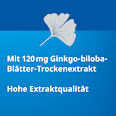 Ginkgo STADA 120 mg Filmtabletten STADA