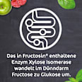 FRUCTOSiN Kapseln FRUCTOSiN