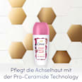 Antitranspirant Deo Roll-on Advanced Care winter berry swirl Dove