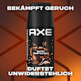 Deospray Dark Temptation, Reisegröße AXE