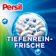 Vollwaschmittel Universal Discs Persil