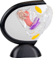 Menstruationsdisk mit Griffmulde Gr. S+L MYLILY