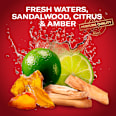 deodorant sprej Whitewater Old Spice
