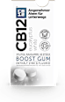 Kaugummi Boost Gum Eucalyptus White CB12
