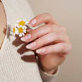 UV Nagelfolien Daisies Maniko