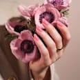 UV Nagelfolien Blush Hour Sheer Maniko