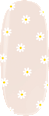 UV Nagelfolien Daisies Maniko