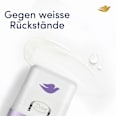 Antitranspirant Deostick Veilchen- & Tonkabohnenduft, Nacfüllpack Dove