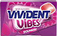 Gomme da masticare SOURBERRY VIVIDENT