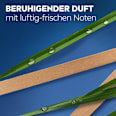 Duschgel Sensitive 5in1 NIVEA MEN